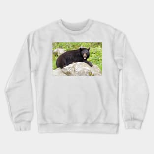 Blowing Raspberries - Black Bear Crewneck Sweatshirt